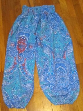 Blue Paisley Harem Pants small